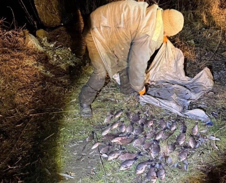 На Ладижинському водосховищі чоловік сітками виловив понад десять кілограм карасів