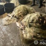 У Гайсинському районі зловили браконьєрів із уловом на майже 1,7 мільйона гривень