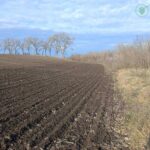 У Гайсинському районі розорали землі біля ставка