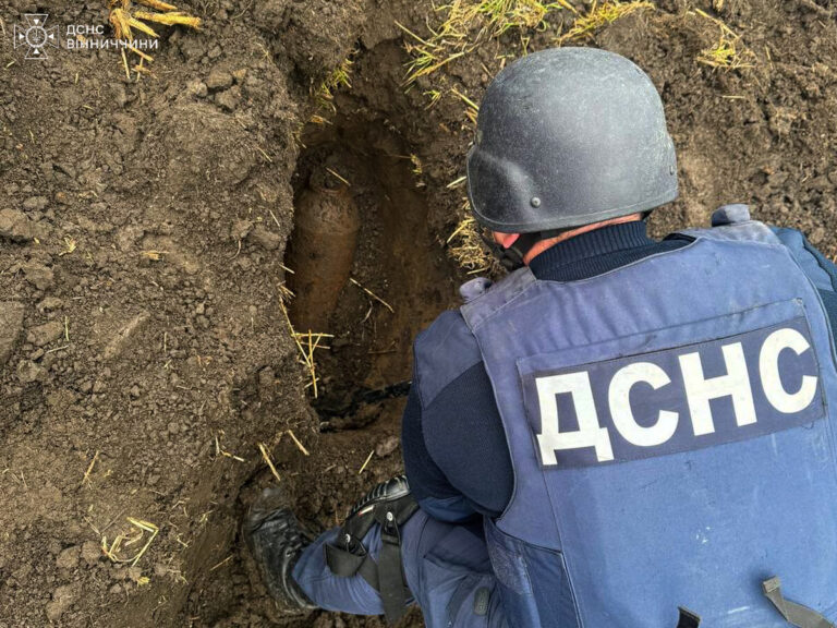 На Вінниччині сапери знищили авіабомбу та міну часів Другої світової війни