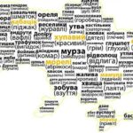 TikTok розкрив секрет, як легко впізнати вінничан