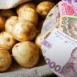 В Україні знову зростають ціни на картоплю