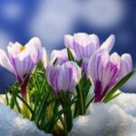 Яка погода чекає на українців у березні: синоптики опублікували прогноз