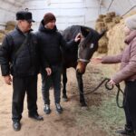 У Ладижині проводитимуть іпотерапію для реабілітації військових