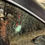 У Вінниці невідомі відкрили вогонь по авто: що відомо