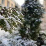 Погода у Вінниці та Вінницькій області у четвер, 20 лютого: прогноз