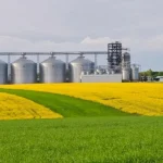 Займається торгівлею агропродуктами: вінницьке підприємство потрапило в лідери платників податків