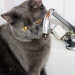 Завтра у Вінниці за низкою адрес не буде води