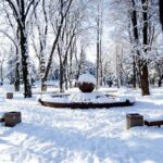 Зима не відступає: у Вінниці та області прогнозують сніг і мороз