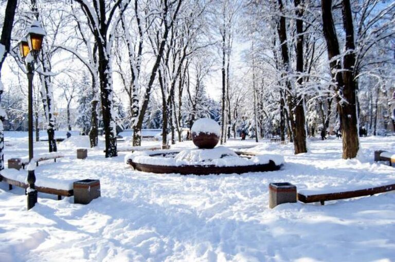 Зима не відступає: у Вінниці та області прогнозують сніг і мороз
