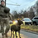У ТЦК та військових частинах посилили заходи безпеки після серії терактів