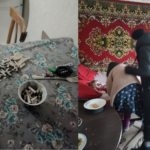На Вінниччині дітей забрали від матері через антисанітарію та алкоголь