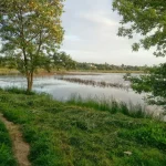 Водойму ботанічного заказника на Вінниччині через суд повернули громаді