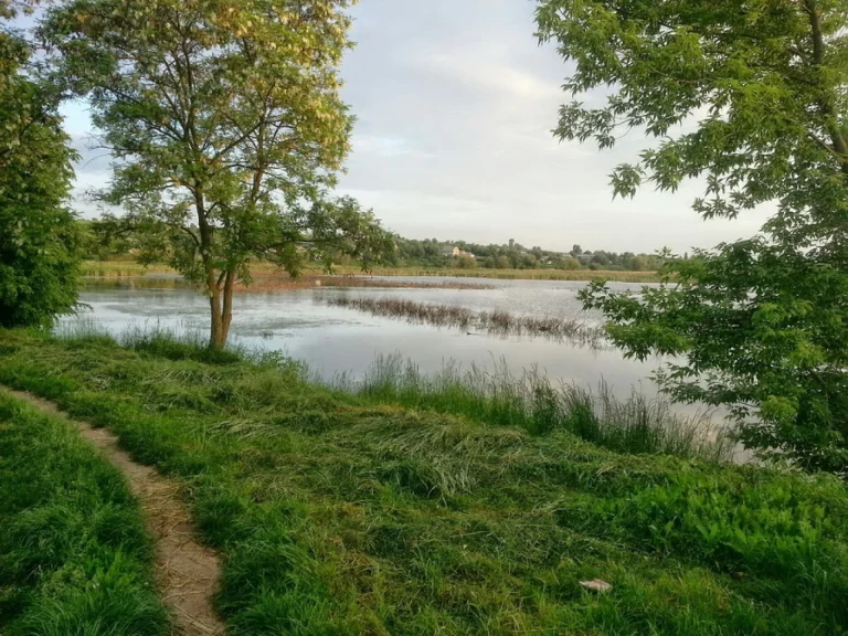Водойму ботанічного заказника на Вінниччині через суд повернули громаді