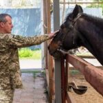 Терапевтичну верхову їзду і психотерапію за допомогою коней надаватимуть ветеранам на Вінниччині
