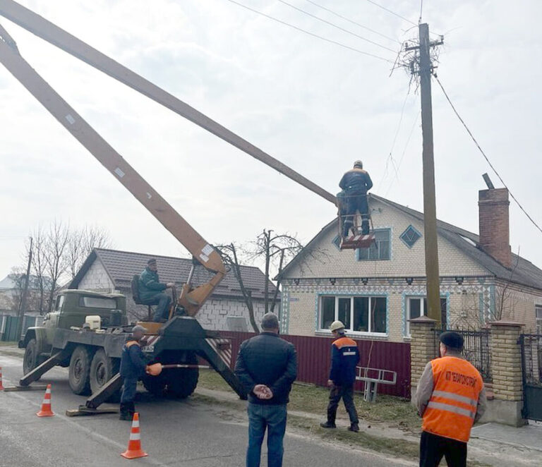 На Вінниччині облаштували для лелек нове гніздо