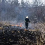 Рятувальники б’ють на сполох: на Вінниччині горять екосистеми (ФОТО)