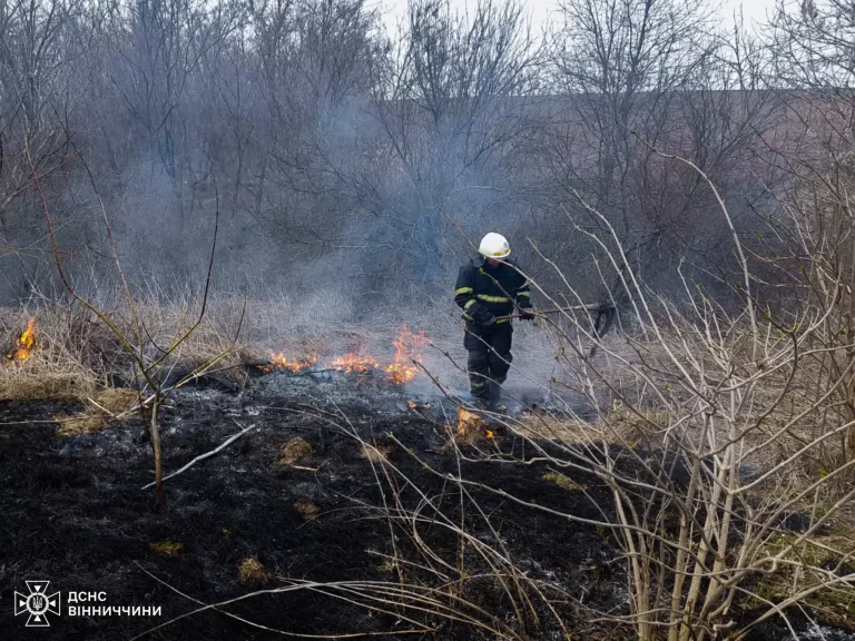 Рятувальники б’ють на сполох: на Вінниччині горять екосистеми (ФОТО)