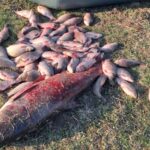 На Вінниччині затримали рибалок з 50 кг незаконно виловленої риби