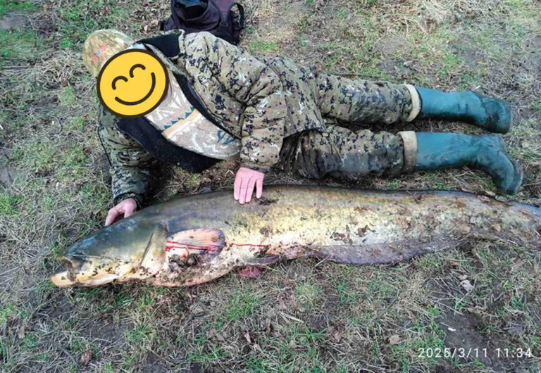 Поблизу Вінниці рибалка впіймав гігантського сома!