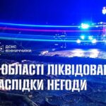 На Вінниччині сильний вітер повалив дерева: що відомо