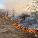 На Вінниччині спалахнуло 67 пожеж: які наслідки загорянь