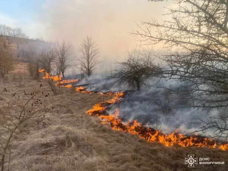 На Вінниччині спалахнуло 67 пожеж: які наслідки загорянь