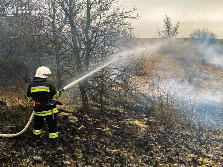 На Вінниччині спалахнуло 27 пожеж: що та де горіло (ФОТО)