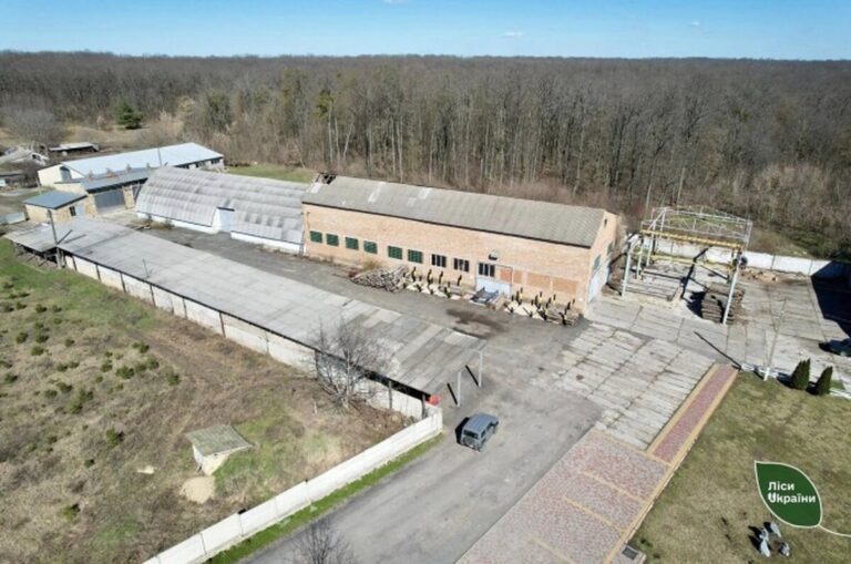 На приватизацію виставили цех переробки деревини у Тульчинському районі (ФОТО)