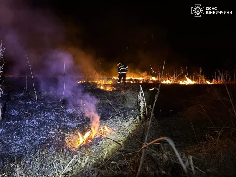 Рятувальники погасили 24 пожежі в екосистемах Вінницької області
