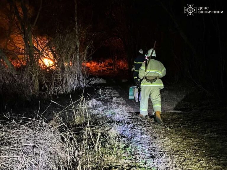 Сім пожеж за добу на Вінниччині: горіли гектари землі, квартира та підприємство