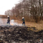 За добу на Вінниччині згоріло понад 21 га землі: рятувальники ліквідували 37 пожеж