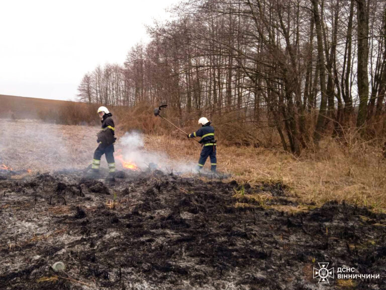 За добу на Вінниччині згоріло понад 21 га землі: рятувальники ліквідували 37 пожеж