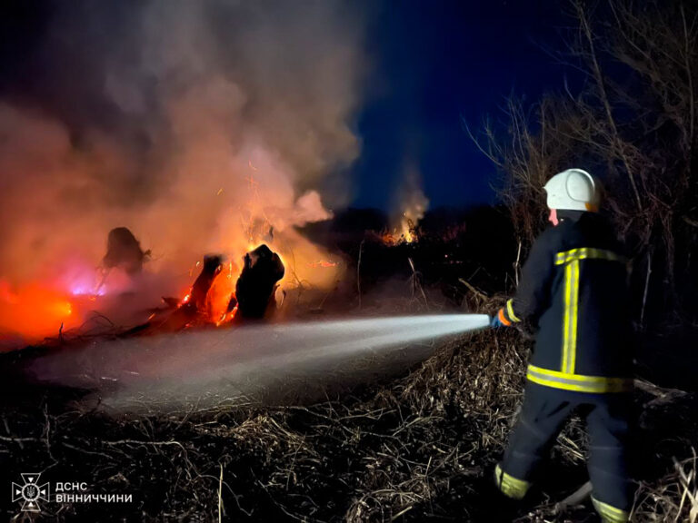Понад сто пожеж за добу: на Вінниччині вогонь знищив гектари землі та будівлі