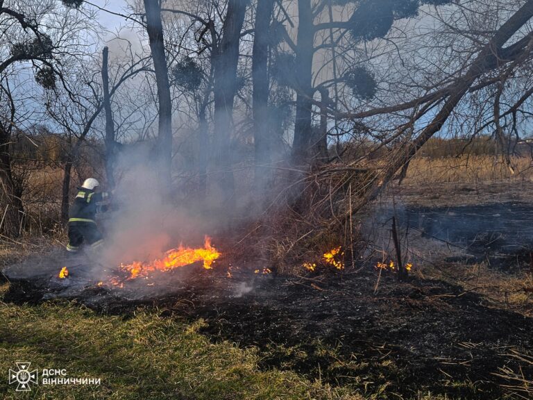 Вогонь охопив Вінниччину: за добу сталося 17 пожеж