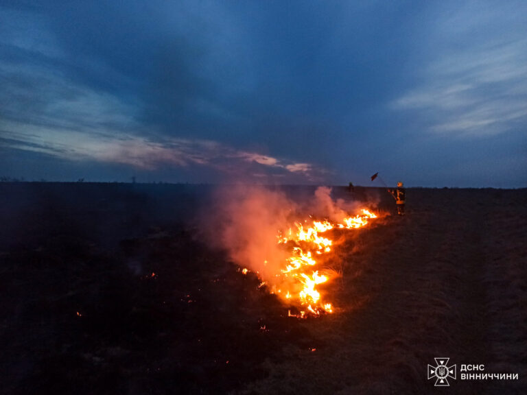 Масштабні пожежі на Вінниччині: рятувальники ліквідували 50 загорянь за добу