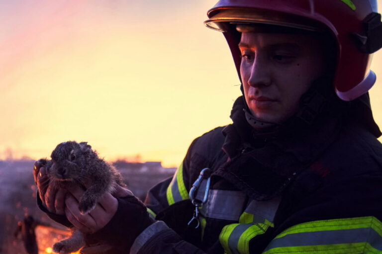 Зайченя на Вінниччині врятували під час пожежі: кадри, які змушують задуматися