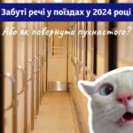 Від гаманця з $6 тис. до живого кота: що забували пасажири Укрзалізниці у 2024 році