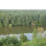 У заповіднику на Вінниччині через суд заборонили полювання