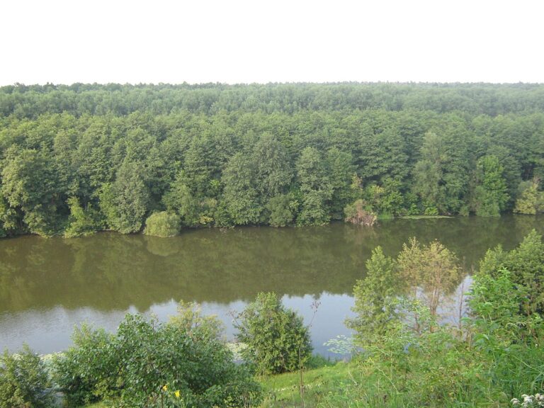 У заповіднику на Вінниччині через суд заборонили полювання