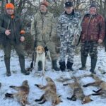 На Вінниччині відстріляли лисиць, шакалів та вовків: причина