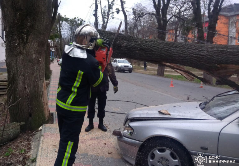 У Вінниці вітер повалив дерево на припаркований автомобіль