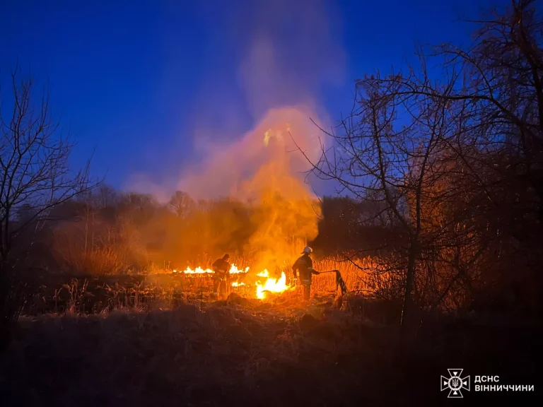 Горіло у всіх районах Вінницької області: на Вінниччині минулої доби спалахнуло 26 пожеж