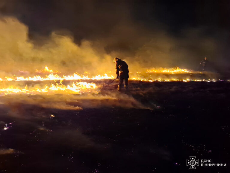 Боротьба з вогнем: на Вінниччині минулої доби рятувальники гасили 27 пожеж (ФОТО)
