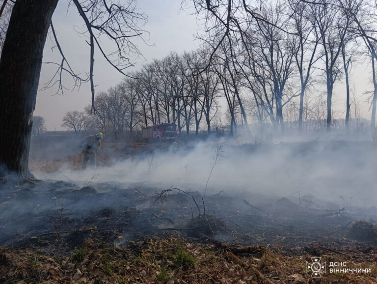 У Вінницькій області спалахнуло 34 пожежі: що та де горіло