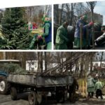 У Вінниці на Вишеньці висаджують сакури й магнолії