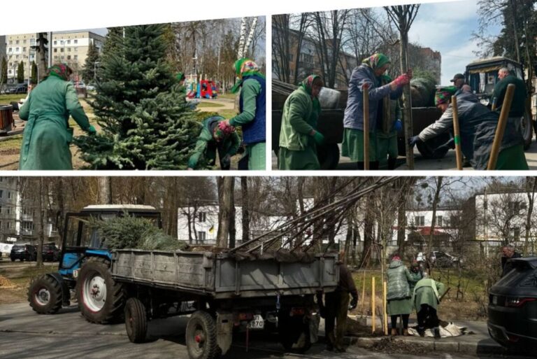 У Вінниці на Вишеньці висаджують сакури й магнолії