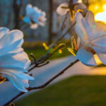 yzobrazhenye_2025-03-01_143815467-1000x617-1