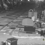 У Вінниці затримали жінку, яка поглумилася над могилою «Грінки» (ВІДЕО)