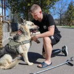 Чотирилапі терапевти на службі: Альфа та Кай завітали до поранених бійців на Вінниччині